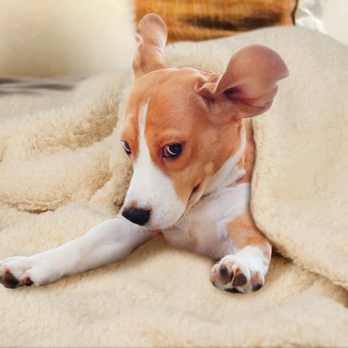 furrybaby Dog Blanket Soft Dog Blankets for Large Dogs Puppy Essentials Washable Sherpa Fleece Cat Blanket 40x47 Inches for Bed Furniture Couch Sofa (Large, Beige)