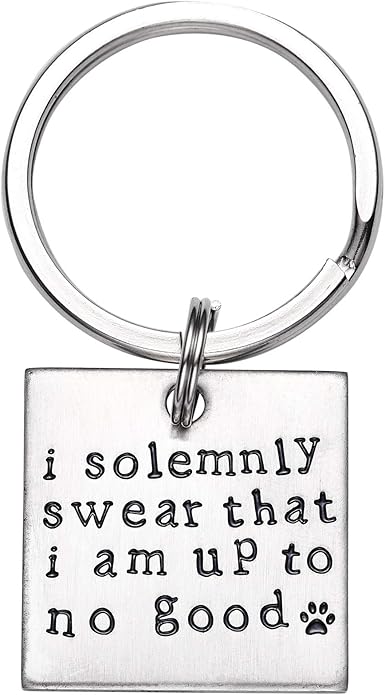 LParkin I Solemnly Swear That I am up to no Good! - Unique Pet Id Tag - Dog Tag - Cat Tag