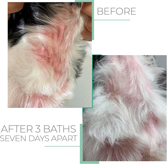 Hypoallergenic Shampoo for Sensitive Skin for Pets - Fur Cleanse, Nourishment & Hydration, All Ages Pet Grooming Products, Horse, Cat Dog Bath Supplies - Vegan, Paraben-Free - 10.1fl oz - PUREZA PET