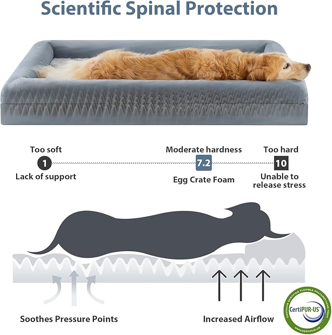 WNPETHOME Washable Dog Beds for Large Dogs, XL Dog Couch, Orthopedic Dog Sofa Bed with Removable & Waterproof Cover, Extra Large Dog Bed with Bolster Sides for Sleeping, Big Dog Couch Bed with Sides