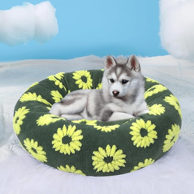 HYQ Small Dog Bed, Cat Beds for Indoor Cats, Dog Beds for Small Dogs with Anti-Slip Bottom, Cute Puppy Bed Washable-Yellow-24inch