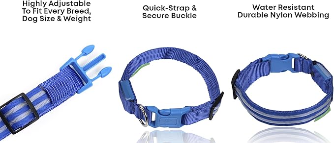 Illumiseen LED Dog Collar USB Rechargeable - Bright & High Visibility Lighted Glow Collar for Pet Night Walking - Weatherproof, in 6 Colors & 6 Sizes (Blue Large)