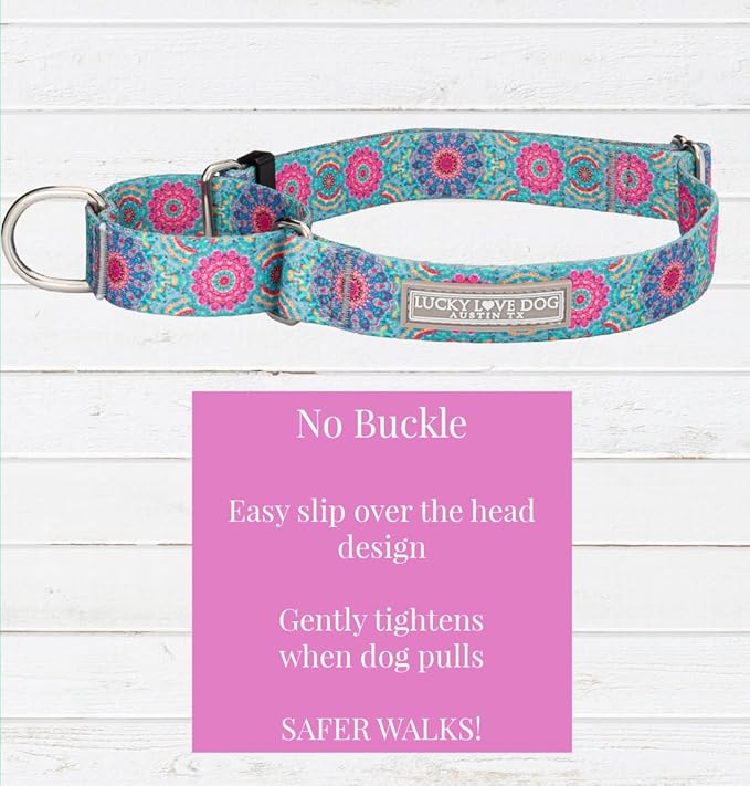 Lucky Love Dog, Boho Chic Martingale Dog Collar for Girl Boy Dogs, Premium No Slip Collar, Vivid Pink and Turquoise Martingale Collar for Dogs (Large, Clara Mart)