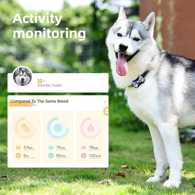 G20 GPS Pet Tracker, 30 Days Battery Life, Light Weight Compact GPS Tracker for Cat and Dog (Blue camo)