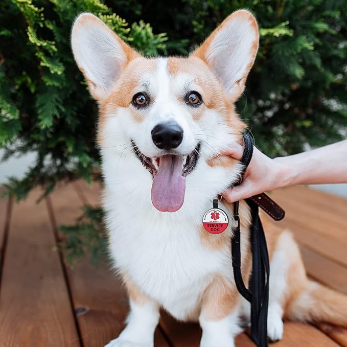 MYLUCKYTAG Silicone QR Code Service Dog Tag - Pet Online Profile - Scan QR Receive Instant Pet Location Alert Email