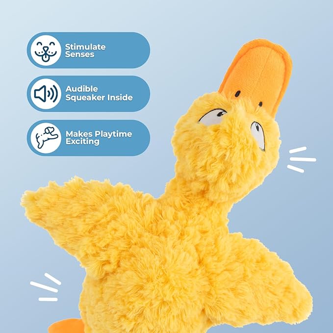 Best Pet Supplies Ducky Doodle Squeaky Crinkle Plush Toy for Small and Medium Breed Puppies or Dogs – Ducky Doodle (Gold), Large
