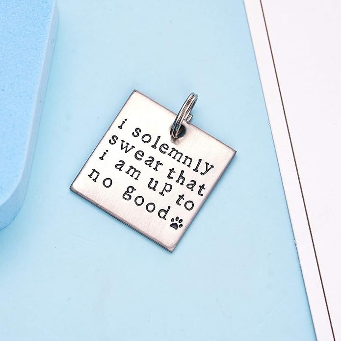 LParkin I Solemnly Swear That I am up to no Good! - Unique Pet Id Tag - Dog Tag - Cat Tag