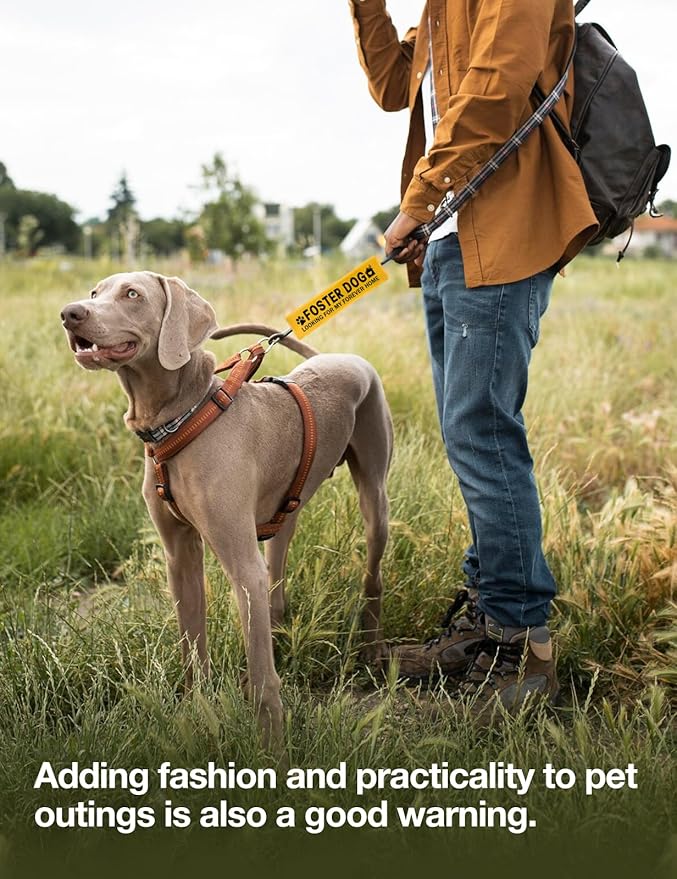 Yellow Foster Dog Looking for My Forever Home Dog Leash Sleeve, Funny Dog Tags Dog Leash Sleeve Wrap Alert Hanging ID Patch Tag, Pet Dog Birthday Service Dog Leash Gift for Dog Owners