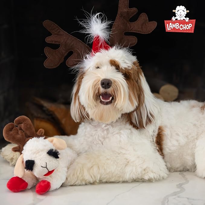 Multipet Lamb Chop Dog Plush Toy w/Easter Bunny Ears - Squeaky Dog Toy for All Dogs - Extra Soft Plush Dog Toy - Stuffed Animal Dog Toy for Cuddling & Playing - Cute Pet Toy (6”, Cream/Pink)