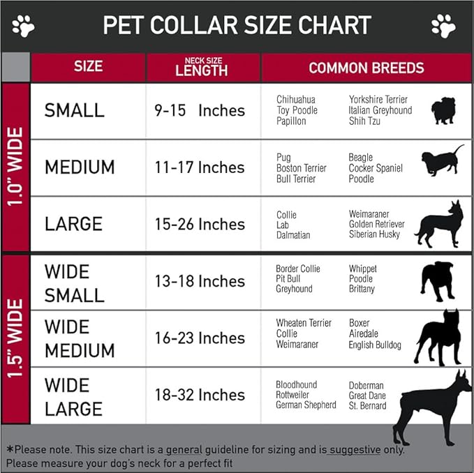 Buckle-Down Dog Collar Seatbelt Buckle Dug 3 Poses Squirrel Brown Yellow White 15 to 26 Inches 1.0 Inch Wide (DC-WDY293-L)
