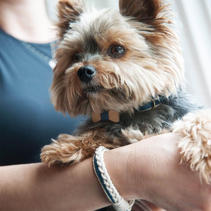 Pettsie Matching Dog Collar Bow Tie, Friendship Bracelet, Durable Hemp for Extra Safety, 3 Easy Adjustable Sizes, Comfortable and Soft for Sensitive Skin, Strong D-Ring for Leash Attachment