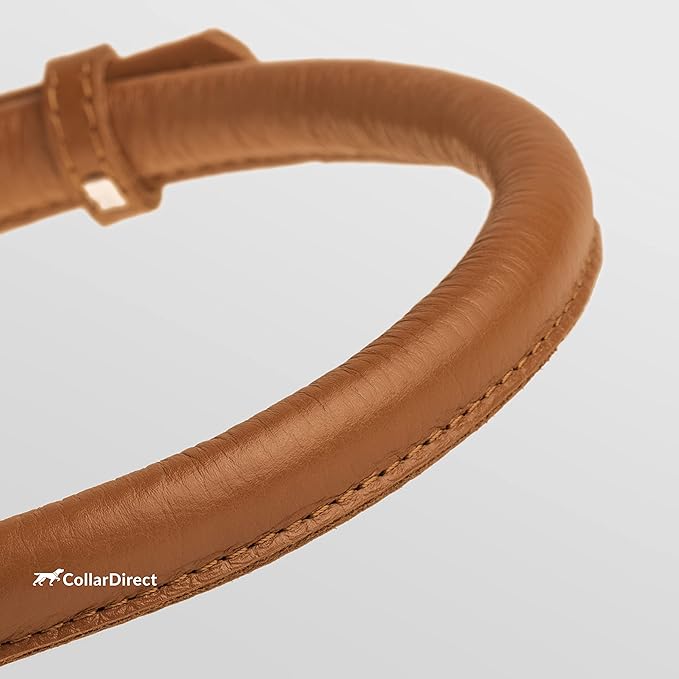 CollarDirect Rolled Leather Dog Collar, Soft Padded Round Puppy Collar, Handmade Genuine Leather Collar Dog Small Large Cat Collars 13 Colors (18-22 Inch, Cinnamon Textured)