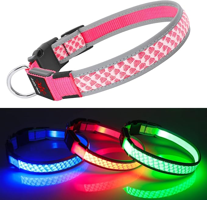 BiPawTi LED Dog Collar Rechargeable, Light Up Dog Collar 3 Light Modes Pet Safety Collar, Super Bright Glow in The Dark Dog Collar for Night Walking, Lighted Dog Collar for Large Dogs (Pink, L)
