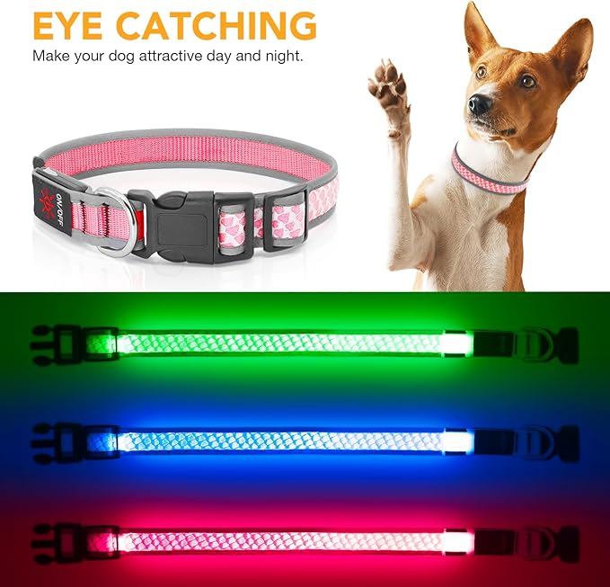 BiPawTi LED Dog Collar Rechargeable, Light Up Dog Collar 3 Light Modes Pet Safety Collar, Super Bright Glow in The Dark Dog Collar for Night Walking, Lighted Dog Collar for Large Dogs (Pink, L)