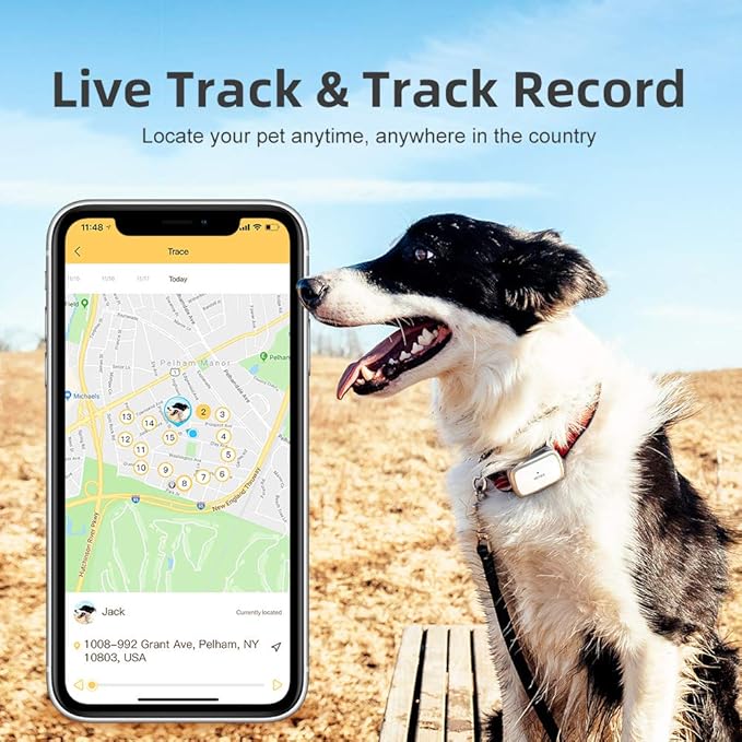 G1-US GPS Pet Tracker, 30 Days Ultra Long-Lasting Battery Lightweight Waterproof pet Finder (White) (White)