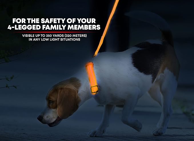 LED Dog Collar, USB Rechargeable, XX-Small (XXS) - 8.6'' - 11.4'', Bright Orange