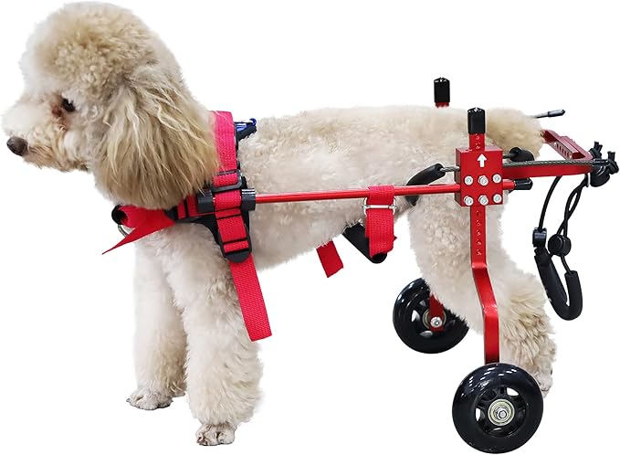 HobeyHove Adjustable Dog Wheelchair for Back Legs,Pet/Doggie Doggy Wheelchairs with Disabled Hind Legs Walking (XS-Red)