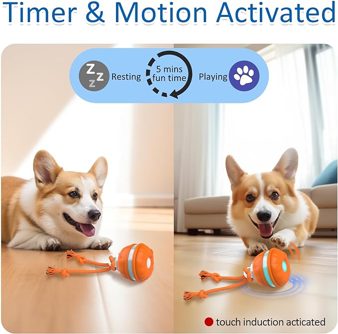 Interactive Dog Toys, Motion Activated Dog Ball, Automatic Rolling Ball Toys for Puppy/Small Dogs
