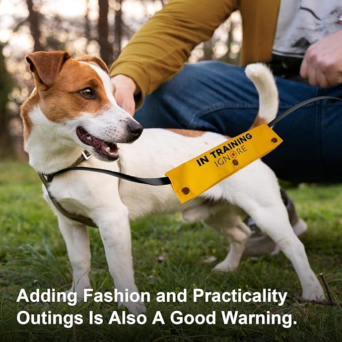 YROVWENQ in Training Ignore Funny Dog Leash Yellow Wrap for Dog Ropes with Ignore Sign (in Training Ignore Sleeve)