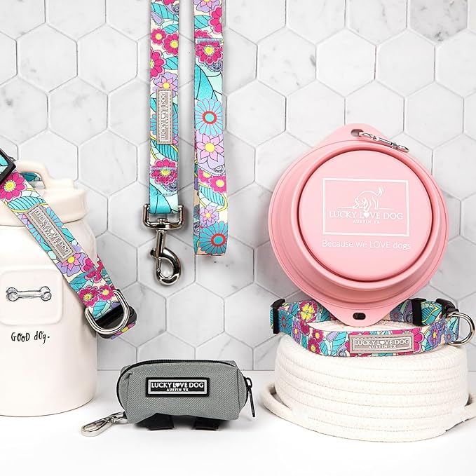 Lucky Love Dog Martingale Collar and Leash Set, Premium No Slip Martingale Collar for Large Dogs, Great for Whippets, Greyhounds, and More (Caroline, Large - Combo)