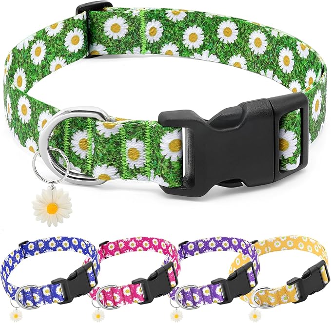 BiPawTi Green Dog Collars for St. Patrick's Day, Floral Dog Collars for Medium Dog - Pretty Flower Spring Dog Collar with Daisies Charms, Gift for Female Male Boys Girls Dogs (M, Green)