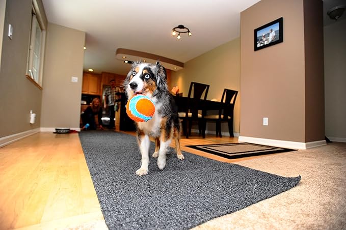 Chuckit! Indoor Fetch Ball Dog Toy - Soft Ball for Small to Medium Dogs Weighing 0-20 Lbs and 20-60 Lbs - Made with Durable, Lightweight, Plush Chenille Fabric - 4.75-inch Diameter - Orange and Blue