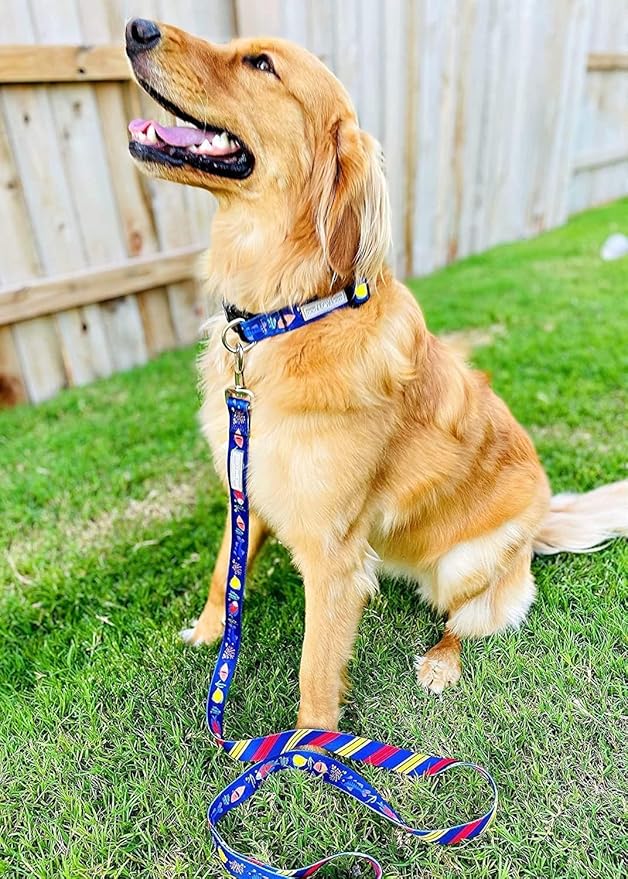 Lucky Love Dog Tropical Fish Pattern Martingale Collar and Leash Set, Summer Themed No Slip Collars for Medium Dogs, Great for Whippets, Greyhounds, and More (Mackey, Medium - Combo)