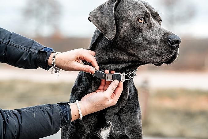 Herm Sprenger Dog Training Prong Collar with Quick Release Cliclock Buckle & Swivel Ring | Adjustable Length Stainless Steel Collar Made in Germany for Large Dogs up to 20" Neck (3.2mm Prongs)