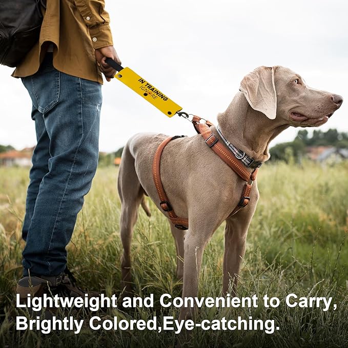 YROVWENQ in Training Ignore Funny Dog Leash Yellow Wrap for Dog Ropes with Ignore Sign (in Training Ignore Sleeve)