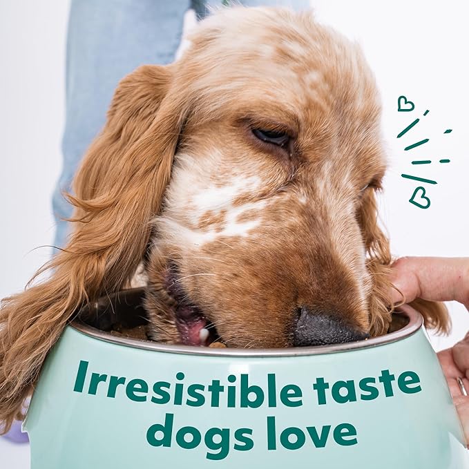 OPtimeal Grain-Free Dog Food - Proudly Ukrainian - Balanced Dog Food Dry Recipe with Immunity Support, Non-Grain Dry Dog Food for All Dog Breeds (22 lbs, Chicken & Veggies)