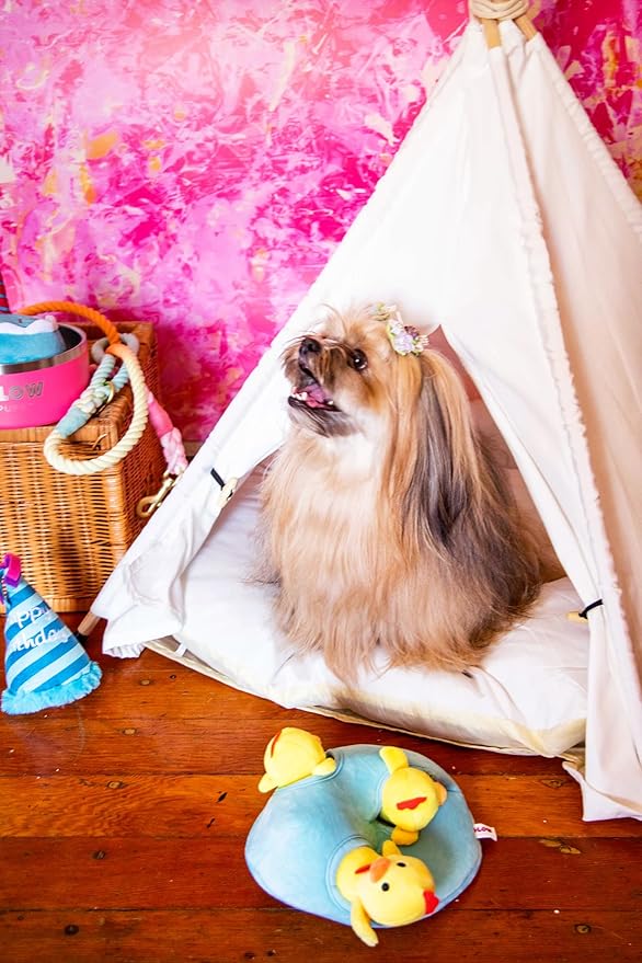 Cat Tent, Portable Dog Tent for Small Pets, Stylish Teepee Design, Cozy Hideaway Reduces Pet Stress, Easy Clean Canvas, Foldable Pet Bed - White, Portable