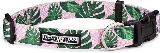Lucky Love Dog, Tropical Dog Collar for Female Male Dogs, Comfortable & Soft, Vivid Pink Dog Collar - (X-Small, Laguna Collar)