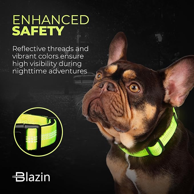 BLAZIN 'Color Me Happy!' Reflective Dog Collar for Day and Night - Adjustable Soft Neoprene Padded Dog Collar in 4 Vibrant Colors - Keeps Dogs Safe and Stylish - for Every Day Use (Small Orange)