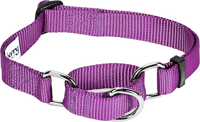Blueberry Pet Essentials Martingale Safety Training Dog Collar, Violet, Medium, Heavy Duty Nylon Adjustable Collars for Dogs