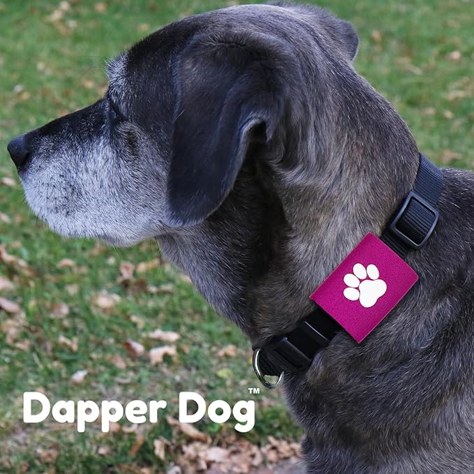 Dapper Dog Pet Tag Silencer and AirTag Holder (Purple with White Paw)