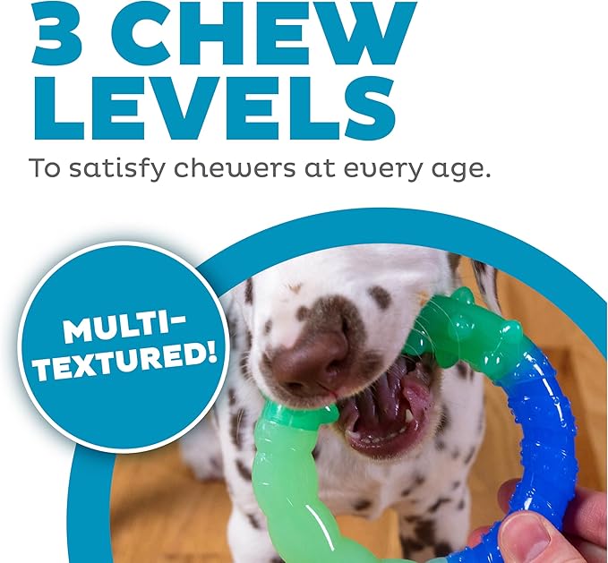 Petstages Orka Grow-with-Me-Ring Dog Chew Toy