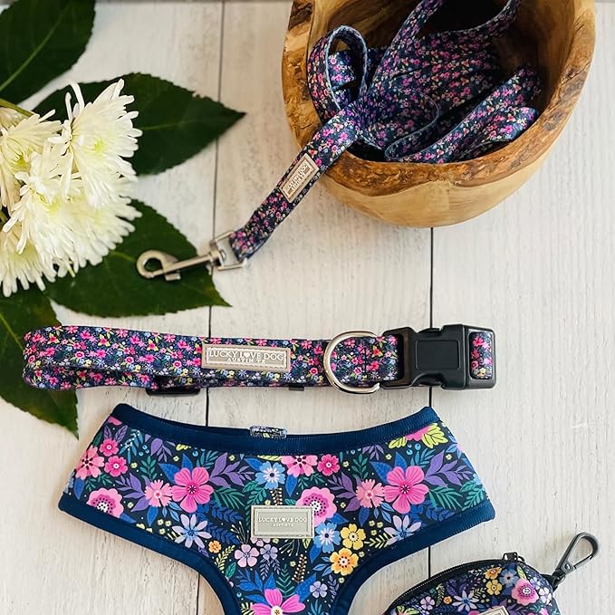 Lucky Love Dog, Matching Dog Collar & Leash Set for Female Dogs, Soft, Adjustable, Safe for Training and Walking, Black & Purple Floral Print, Primrose Combo, Small