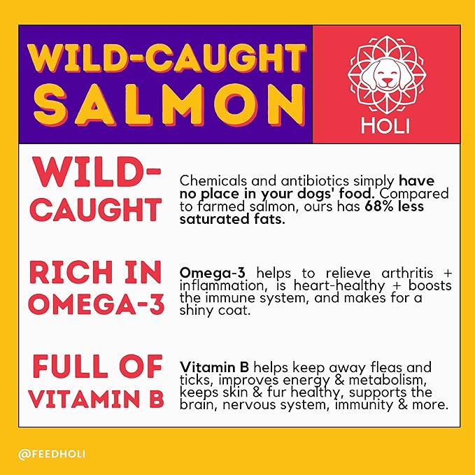 HOLI Freeze Dried Salmon Dog Treats - with Omega 3 and 6 Fish Oil - All Natural Dog Treats - Human Grade - Wild Caught Skin on Salmon - Made in USA - Grain Free - Diabetic Friendly