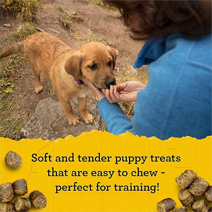 (4 Pack) Zuke Puppy Naturals Training Dog Treats Crafted in The USA, Salmon and Lamb 5oz with 10ct Pet Wipes 5 Piece Set