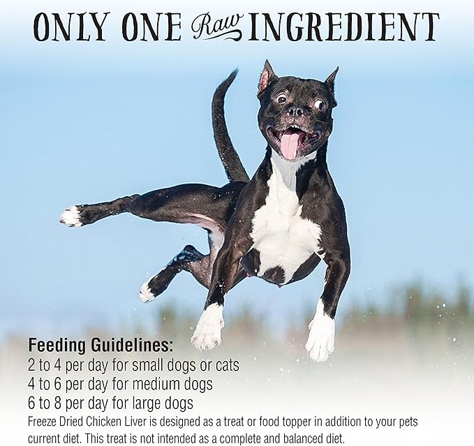 Northwest Naturals Raw Rewards Freeze-Dried Chicken Liver Treats for Dogs and Cats - Bite-Sized Pieces - Healthy, 1 Ingredient, Human Grade Pet Food, All Natural - 3 Oz (Pack of 1)