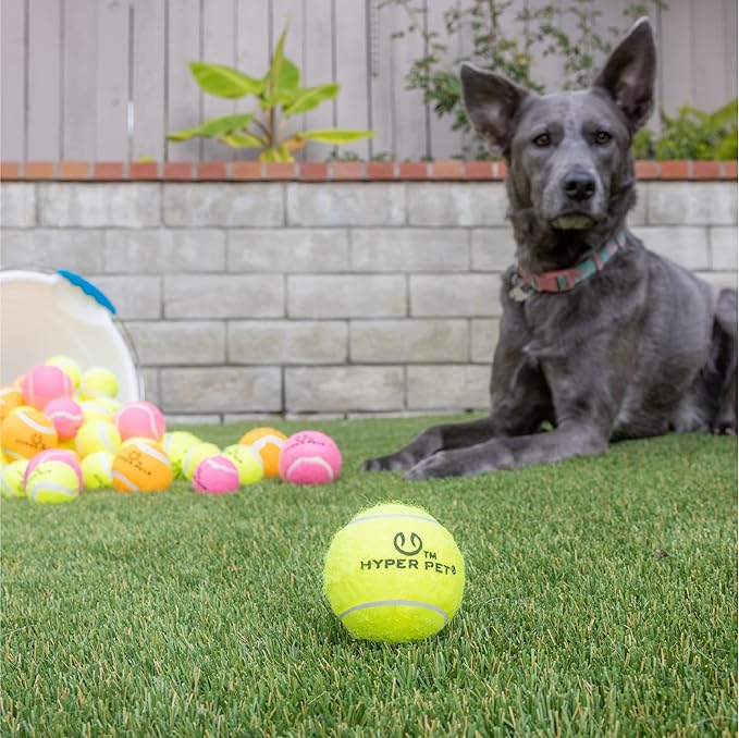 Hyper Pet Tennis Balls for Dogs (Pet Safe Dog Ball Dog Tennis Balls for Exercise & Training) Dog Ball Interactive Dog Toys work with Hyper Pet K9 Kannon K2 Dog Ball Launcher - 4 Pack 2.5" Green