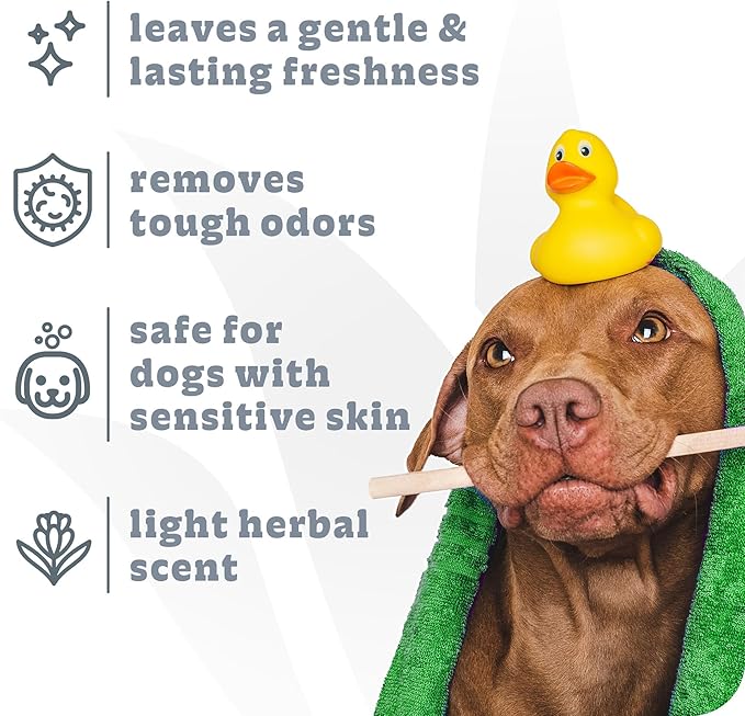 Espree Intense Charcoal Odor Neutralizer Dog Shampoo & Conditioner, Eliminates Stubborn Dog Odors, Plant Based Ingredients, 2 in 1, Charcoal-Infused Odor Neutralizer for Dogs, Cruelty-Free, Gallon