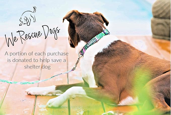 Lucky Love Dog, Tropical Dog Collar for Female Male Dogs, Comfortable & Soft, Vivid Pink Dog Collar - (X-Small, Laguna Collar)