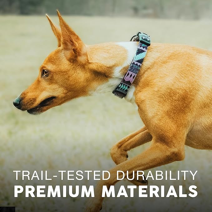 Embark Urban Dog Collar – Dog Collar Stylish & Durable Nylon Dog Collar for Large Dogs, Small Dogs & Medium Dogs.Comfortable Pet Collar Strong Buckles for Any Size Breed (Aztec, Small)