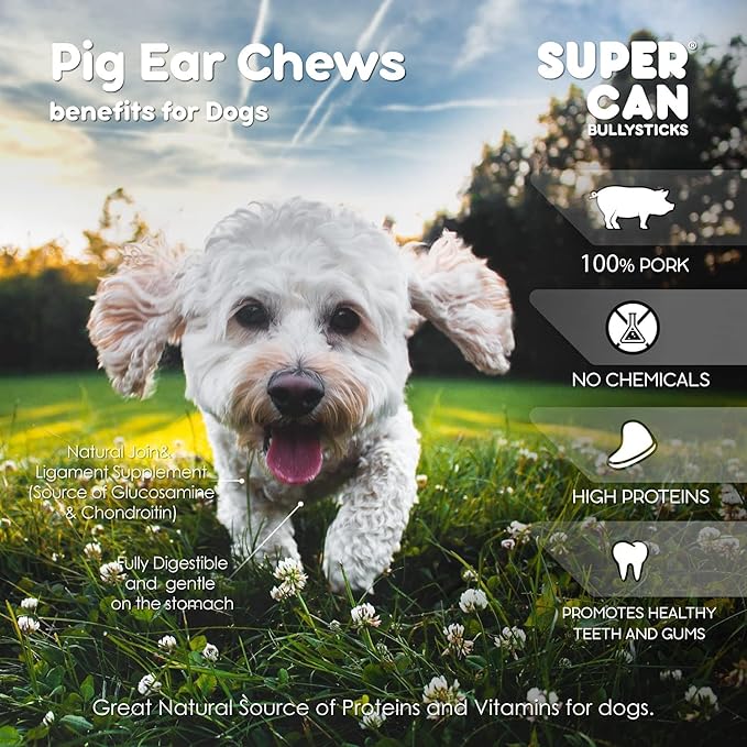 Supercan Bully Sticks Pig Ear Chews for Dogs โ Half Pig Ears (15 Count) - All Natural Dog Treats - Healthy Chews for Large Medium & Small Dogs - Promotes Dental Health - Long Lasting