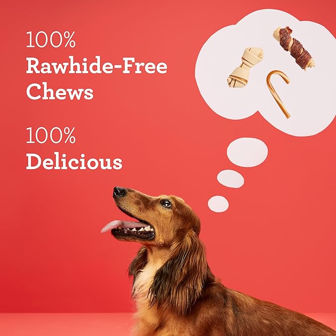 DreamBone Holiday Advent Calendar, Rawhide-Free Dog Treats, for Dogs, 24 Count