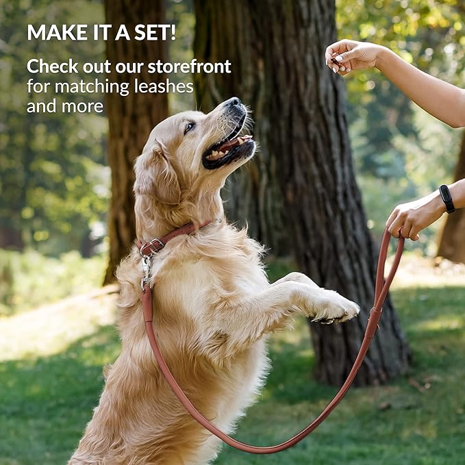 CollarDirect Rolled Leather Dog Collar, Soft Padded Round Puppy Collar, Handmade Genuine Leather Collar Dog Small Large Cat Collars 13 Colors (8-11 Inch, Cinnamon Smooth)