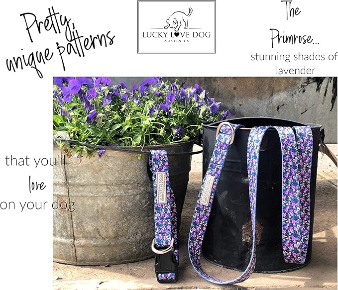 Lucky Love Dog Martingale Collar, Premium No Slip Collar for Medium Dogs, Flower Martingale Collar for Girl Dogs, Great for Whippets, Greyhounds, and More (Primrose, Medium)