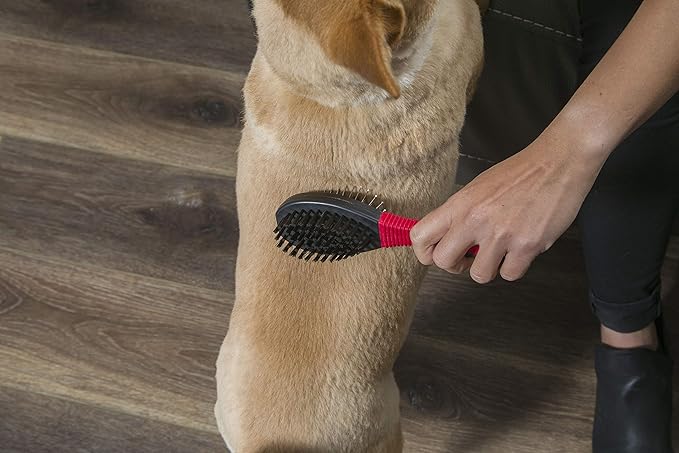 FURemover Grooming Brush & Comb Set, Suitable for All Coats, Includes One Flea Comb and One Dual-Sided Brush with Soft Bristles and Rounded Pins, Black and Red (1208A12-AMZ)