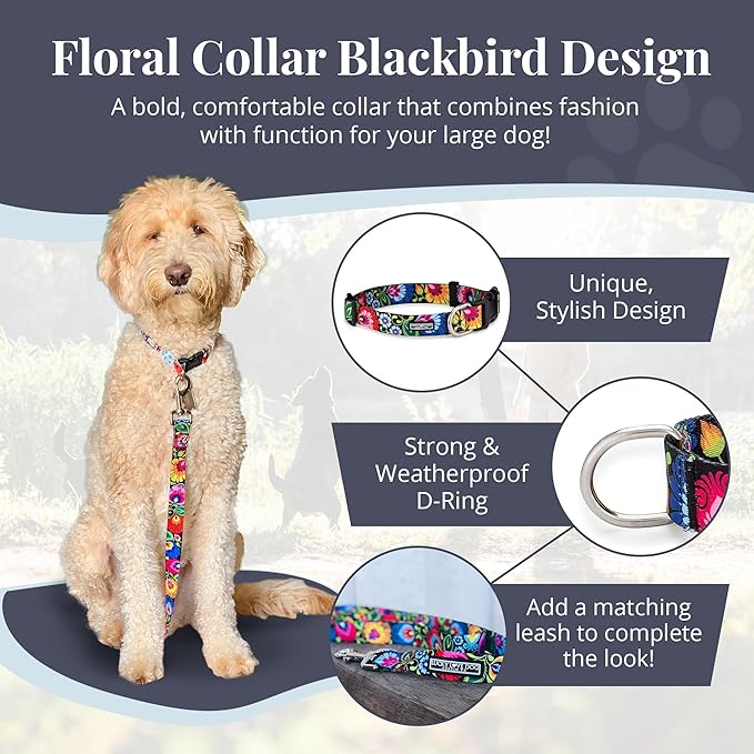 Lucky Love Dog - Adjustable Dog Collar with Easy Click Buckle for Small to Large Dogs, Durable, & Comfortable Collar for Male & Female Dogs, Pet Collar for Puppies & Adult Dogs - Blackbird, Large